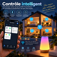 Lampe d'ambiance connectée au Wi-Fi contrôlant l'éclairage de plusieurs pièces d'une maison via une application mobile.